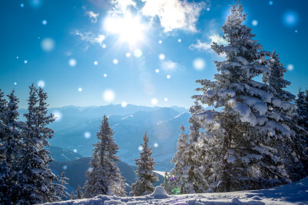 beautiful snowy winter landscape panorama with forest and sun. Fir trees covered by snow. Christmas landscapeの写真素材