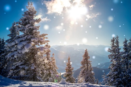 beautiful snowy winter landscape panorama with forest and sun. Fir trees covered by snow. Christmas landscapeの写真素材