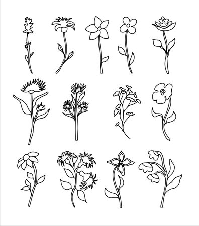 Floral vector doodle design elements. Hand drawn decorative leaves and wreaths. Flower ornament dividers. Tree branches with leaf and flowers. Framesのイラスト素材