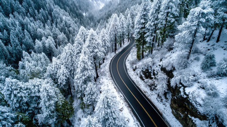 This stunning aerial photograph captures a winding road meandering through a pristine landscape of snow-covered pine trees in winter.の素材