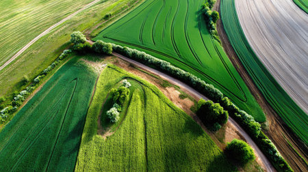 This stunning aerial image showcases the vibrant green fields and agricultural patterns of nature in a rural landscape, highlighting curves and textures.の素材