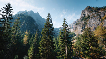 A stunning view of rugged mountains towering above lush green pine trees under a clear blue sky. This serene landscape is perfect for nature lovers and adventure seekers.の素材