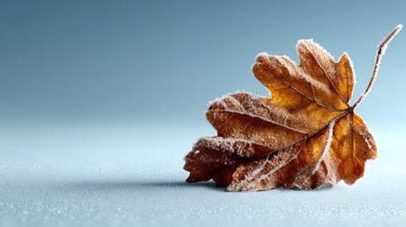 A frosted brown leaf rests elegantly on a smooth surface, set against a soft blue background. This image captures the delicate details of winter, evoking themes of nature and tranquility.の素材