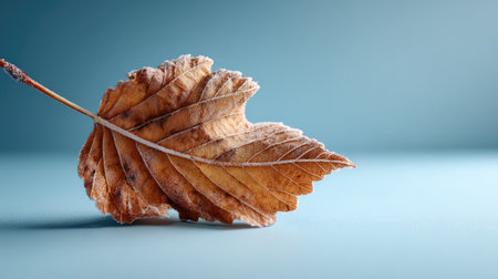 A beautifully detailed close-up of a frosty brown leaf resting on a smooth surface, showcasing the charm of winter and autumn's transition, with soft lighting creating an atmosphere of tranquility.の素材