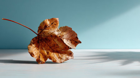 A beautifully detailed autumn leaf rests on a wooden surface, casting a gentle shadow against a soft blue background, symbolizing nature's tranquility.の素材