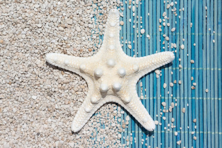 Sea star on bamboo straw mat and pebble background     の写真素材