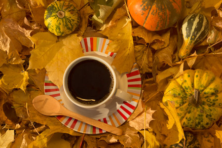 Cup of black coffee on the yellow leaves covered ground. Gourds around. Outdoor scene.    