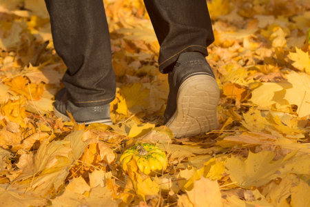 Walking through the woods in the autumn. の写真素材