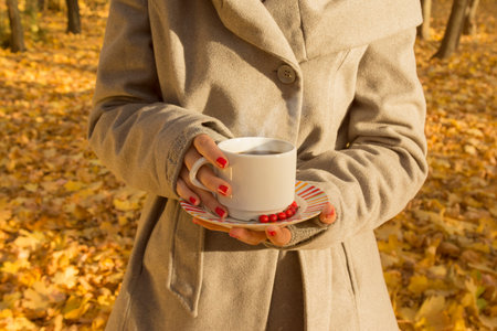 Unrecognizable woman holding a cup of black coffee in the woods. Yellow leafs on the ground and trees in the background.  の写真素材