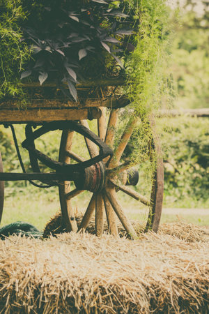 Retro styled image of carriage wheel with plants decoration in the garden.の写真素材