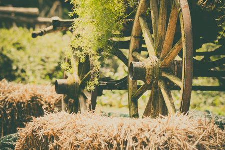 Retro styled image of carriage wheels in the garden.の写真素材