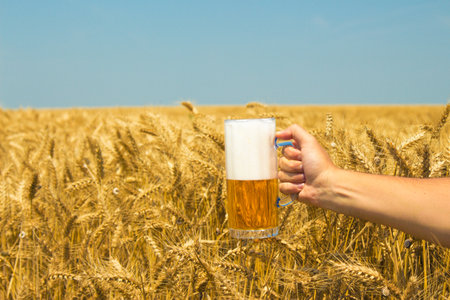 Close up of male hand holding glass mug of beer Wheat field and blue sky in the background. Beer industry and natural ingredients beverage concepts.  の写真素材