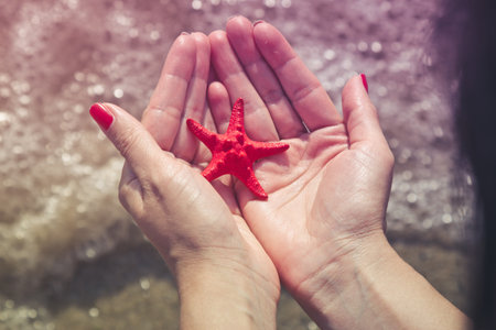 Top down view of female holding starfish at the beach.の写真素材