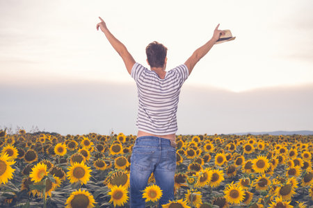 Rear view of young man with hands up standing in sunflower field. Agriculture and summertime concepts.の写真素材