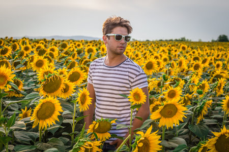 Portrait of young hipster guy in sunflower field. Summertime and fashion concepts.の写真素材