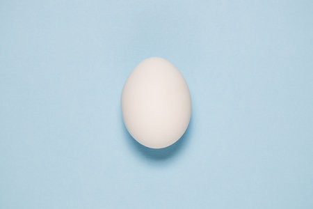 One white egg on plain pastel blue background. Minimal concept.の写真素材