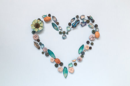 Heart symbol made of dried flowers, leaves and plant parts on pastel blue background minimal creative flat lay concept.の写真素材