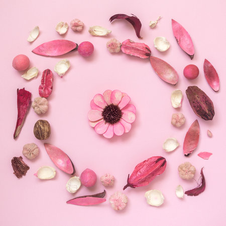 Flowers, leaves and plant parts on pastel pink background minimal creative flat lay concept.の写真素材