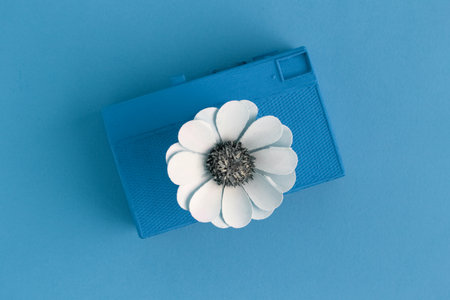 Pastel blue retro film photo camera with flower in form of lens minimal surrealism creative concept.
