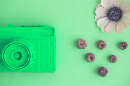 Retro camera with flower and plant parts on green background. Photography and nature concepts.の写真素材