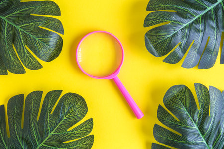 Rose magnifying glass and tropical palm leaves isolated on yellow minimal creative summer concept.の写真素材