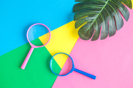 Magnifying glasses and tropical palm leaves isolated on colorful pastel background minimal creative summer concept.の写真素材