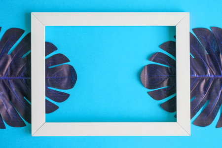 Tropical monstera leaves with white frame isolated on blue background minimal creative concept. Space for copy.の写真素材