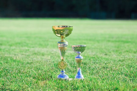 Soccer or american football cup or trophies on the field.の写真素材