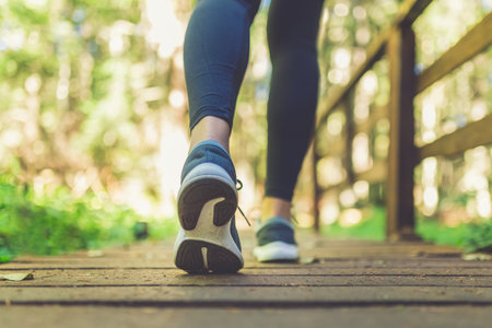 Close up of female legs with running shoes on wooden footpath in woods. Nature and sport healthy lifestyle concept.の写真素材