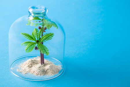 Close up of palm tree under glass cover epidemic isolation abstract. Summer vacation cancellation concept.の写真素材