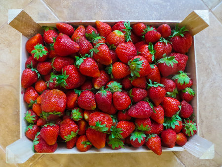 Strawberry. Fresh organic berries in a box . Fruit backgroundの写真素材