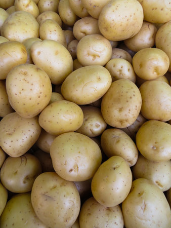 A box of clean new potatoes on display for sale in the sunshineの写真素材
