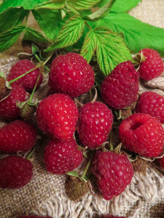 Fresh raspberry and raspberry jam.の写真素材