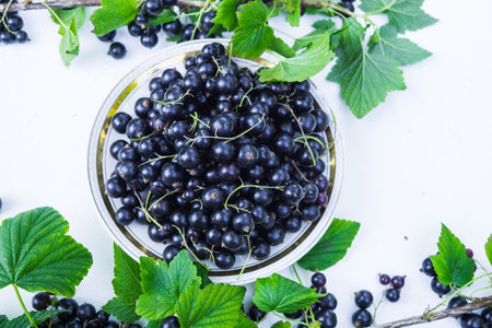 Fresh berries of black currant in a plate on a table. For a diet and saturation with vitaminsの写真素材