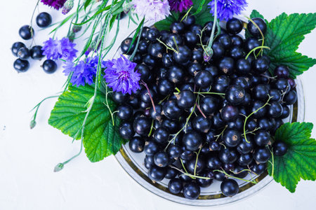 Fresh berries of black currant in a plate on a table. For a diet and saturation with vitaminsの写真素材