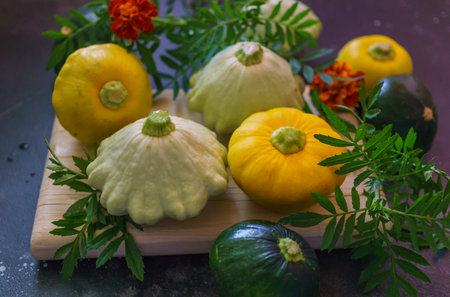 Multicolored small patissons grown on an eco-farm,の写真素材