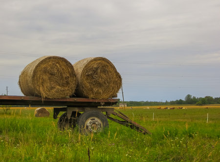 Two twisted hay rolls on a cart in the fieldの写真素材