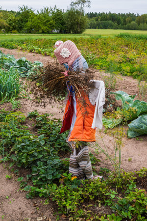 Scarecrow to scare birds stuck in the ground in the gardenの写真素材