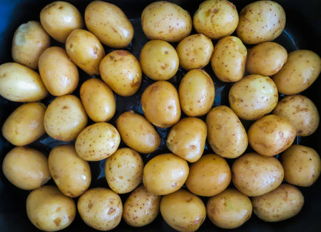 young, delicious potatoes in the form for baking, poured with olive oilの写真素材
