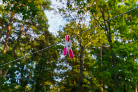 multi-colored one clothes peg attached to a long rope, in the courtyardの写真素材