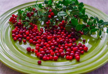 Berries of red lingonberry in a wooden spoon, along with twigs, on a table.
