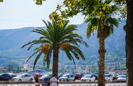 Embankment in Kotor on the coast of Kotor Bay in Montenegro.September 2018のeditorial素材