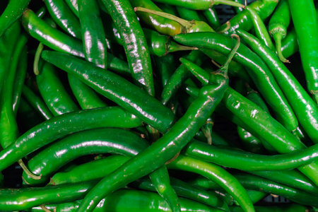 fresh hot green chili peppers in a supermarketの写真素材