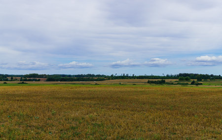 Summer landscape of fields, hills and forests with harvested crops, endless expanses, blue sky with...