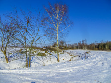Endless expanses in snow-covered Latgale, in winter 2018の写真素材