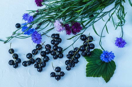 Black currant berries with cornflowers. For a diet and saturation with vitaminsの写真素材