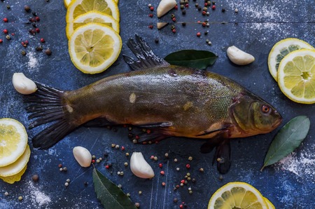 Fresh, caught in the river tench, cooked for roasting in the oven with garlic and lemonの写真素材