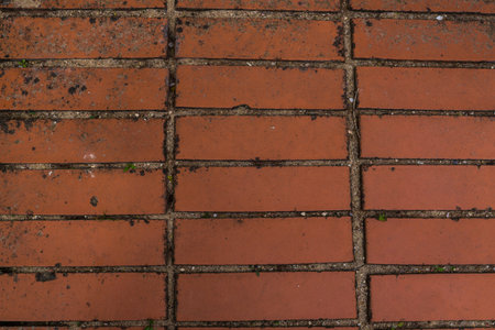 A sample of clay brickwork, a rectangular shape, terracotta color, used when laying the roadの写真素材