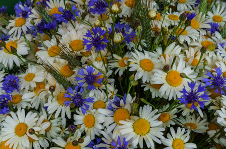 A bouquet of field cornflowers and daisies on the table in a vaseの写真素材