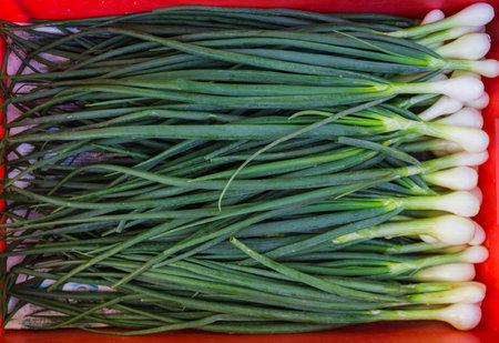 Organic fresh young green onions in a box for sale in the market